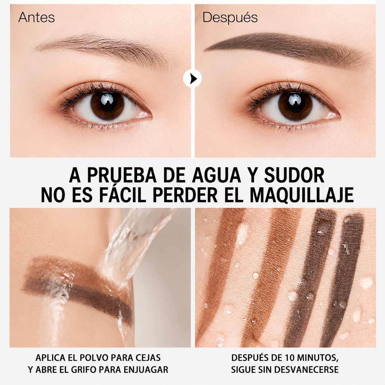 Kit para Cejas SENA